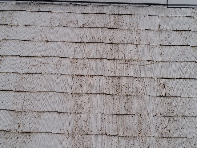 ヒビ割れしているカラーベスト